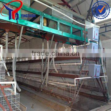 layer hen coops/greenhouse poultry farming instalation