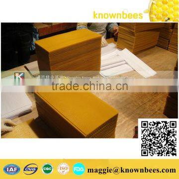 Apis mellifera honey beewax comb foundation sheet