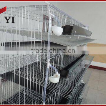 Automatic Quail Layer Cages For Sale For Kenya photo-5