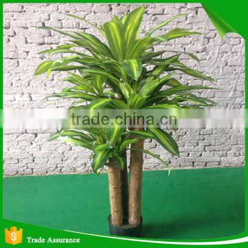 Everlasting brazil cycas large fake tree decoration for shop and hotal