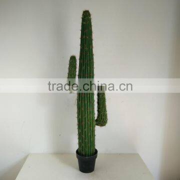 SJ3001009 High Imitation Cactus Plant/indoor Decoration Cactus Plant photo-3