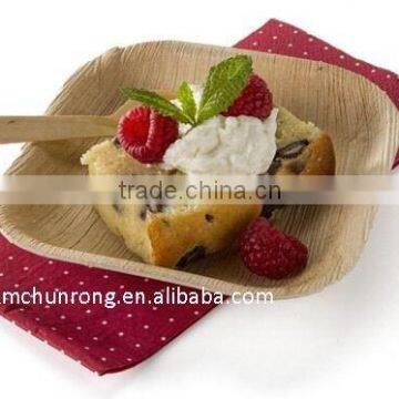 Bamboo Square Plates For Snack