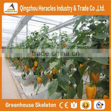 Heracles High Quality Customized Glass Greenhouse With Hydroponic System photo-5