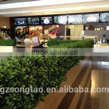 Locating Oversea Shop and Garden, SGS ISO Cerificate From China, Green Wall Manufacturers photo-3