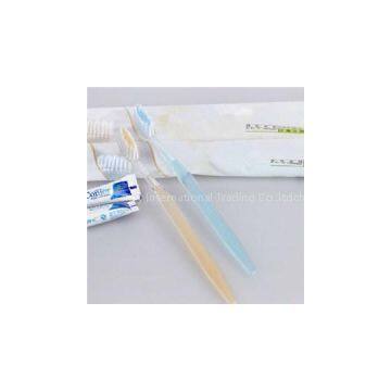 Disposable Toothbrush Kit