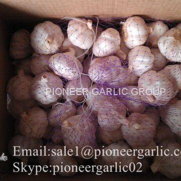 4.5cm 5cm 5.5cm Normal White Garlic Small Packing 1n 10kg Carton Box photo-3