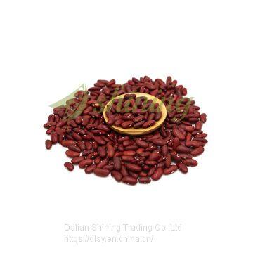 High quality British Dark Red Kidney Bean