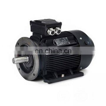 induction 160hp electric motor