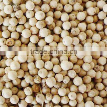 Spices products black pepper 550gl/ 500gl/whole black pepper white pepper