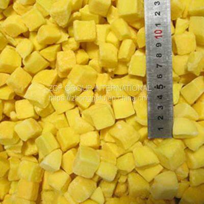 Frozen Diced Mango 10mm photo-4