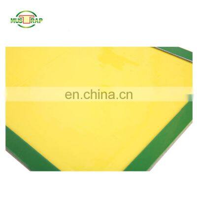 Sticky Cardboard Mice Gum Trap Paper Pad Traps Rat Glue Mouse Trap