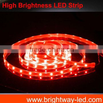 Low Cost RGB LED Strip,Competitive Price,Super Bright 5050 Rope Lights