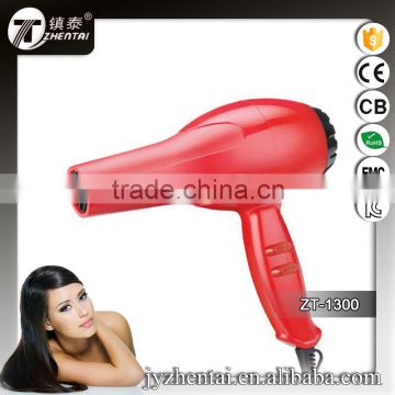 Spray Red Hair Dryer 24DC Motor