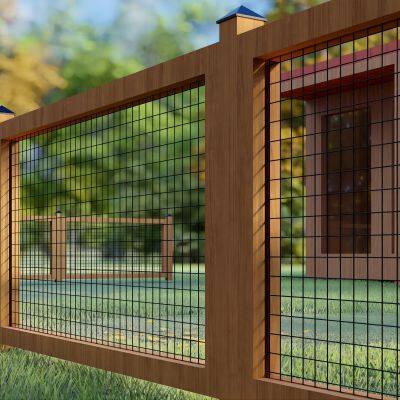 Black Welded Wire Mesh Welded Wire Mesh Chicken Wire Netting Wire Netting Poultry Fence Poultry Mesh Welded Wire Black Wire Black Welded Weld Wire photo-2