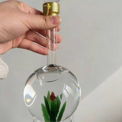 Premium Handcrafted Agave Inside Glass Decanter for Tequila From China