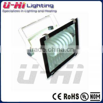 Two-Double Ended spriral CFL floodlight, downlight ,ceiling light