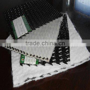Three Dimension Geocomposite Drainage Net photo-2