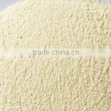 Chinese Best Price Dehydrated Garlic Powder