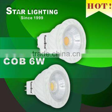 Indoor 6W COB LED spotlight