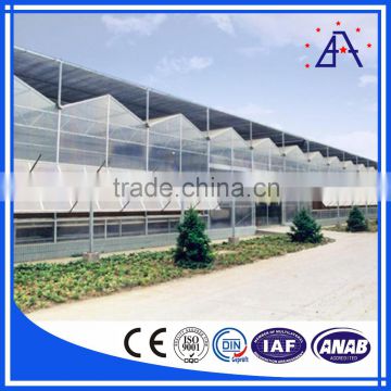 Customized Extrusion Alumionium/Low Cost Greenhouse