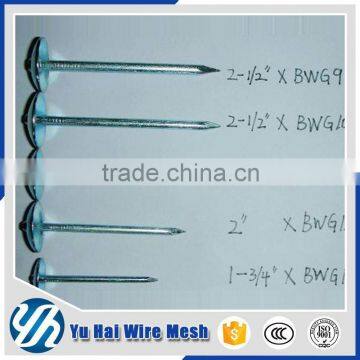 china umbrella head roofing nailsdirect from factory                        
                                                                                Supplier's Choice
