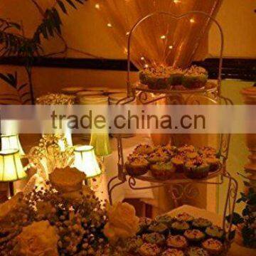 Fairy Led String Lights (cooper Wire) (Warm White) (33 ft 100 Leds)