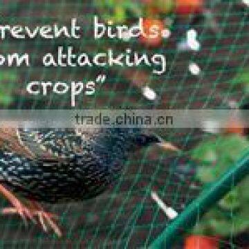 100%PP UV Stabilised Anti Bird Net for Manufacturing