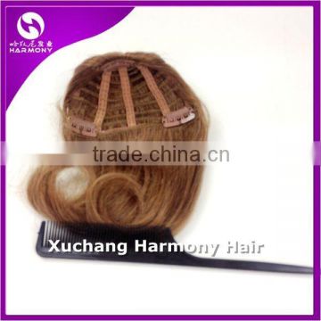 HARMONY NATURAL HAIR 100 human hair bangs/human hair bangs/Chinese hair bangs