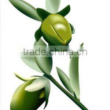 Organic Certified Jojoba Oil