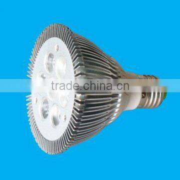 Dimmable PAR 30 Light