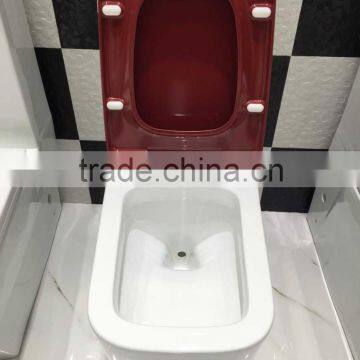 Chinese Sanitary Ware One Piece Siphonic Toilet photo-4