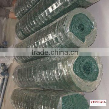 europe welded wire mesh competitive price manufacturer exporter