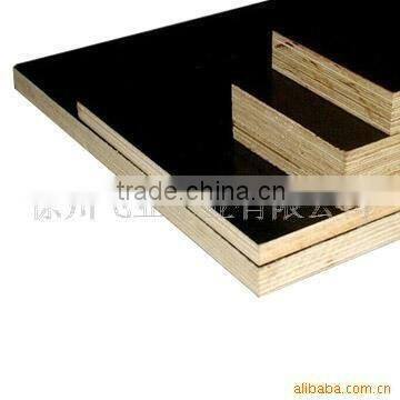 export manufactory of shuttering plywood supply water proof film faced plywood