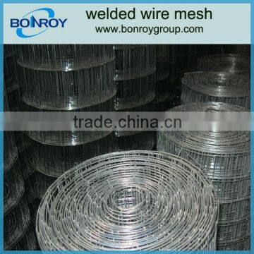 bird cage welded wire mesh roll