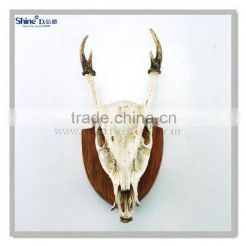 polyresin deer head skull animal head skull wall mount for interior decoration