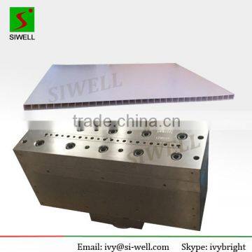 PVC hollow door panel mould