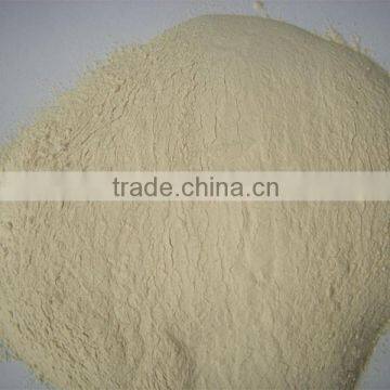 Dehydrated Potato Powder