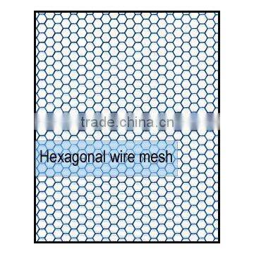 poultry farm mesh/ hexagonal wire mesh screen