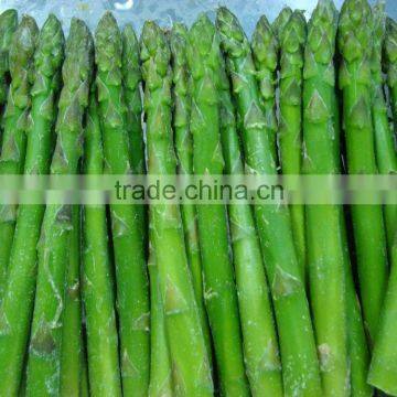 FROZEN GREEN ASPARAGUS.