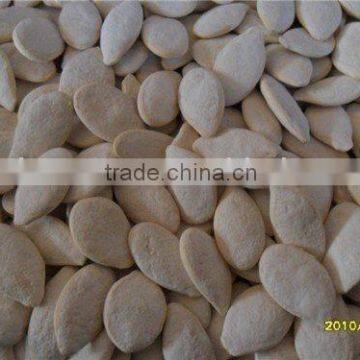Salt Snow White Pumpkin Seeds