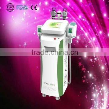 Cavitation+rf+cryolipolysis/cryolipolysis 4 Head/wholesale Cryolipolysis 50 / 60Hz Machine Hot Sale Body Contouring