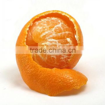 Hot citrus fresh honey fresh mandarin orange