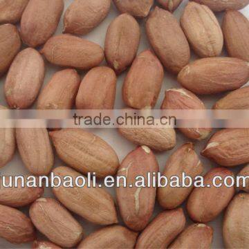 peanut kernels and peanuts kernel