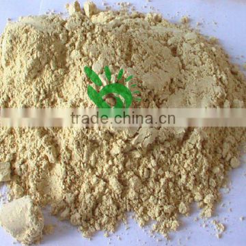 Super Dehydrated Ginger Powder