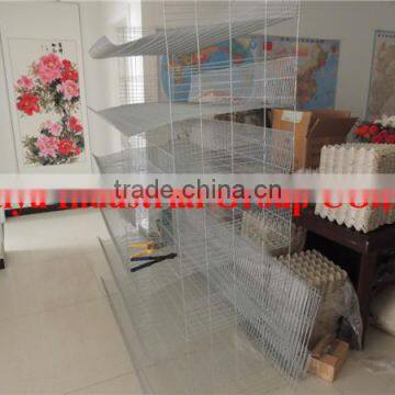 TAIYU Foreign Agent and Warehouse Quail Cages and Equipment