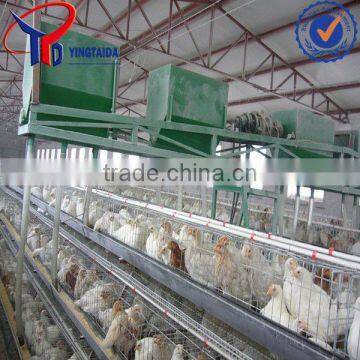 poultry farm layer cage in south america