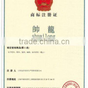 Shuailong brand patent certificate
