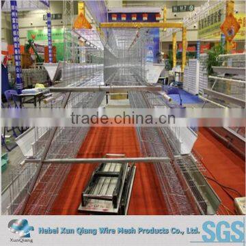 Layer Chicken Cage/Hen Coop White Bird Cage/cage for Chickens photo-2