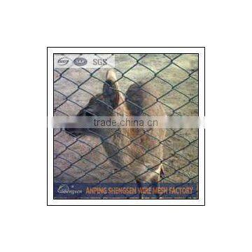 cheap chain link dog kennels/galvanized chain link mesh