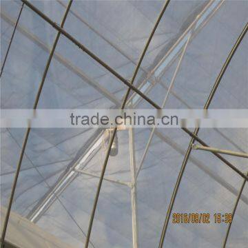 China Supplier Small Scale Agricultural/Commercial Plastic Greenhouse for Export photo-6